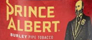 Prince Albert